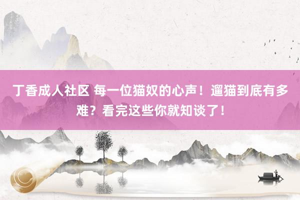 丁香成人社区 每一位猫奴的心声！遛猫到底有多难？看完这些你就知谈了！