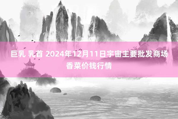 巨乳 乳首 2024年12月11日宇宙主要批发商场香菜价钱行情