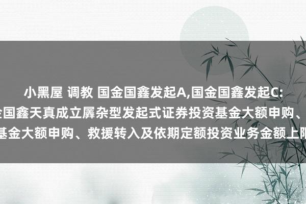 小黑屋 调教 国金国鑫发起A，国金国鑫发起C: 对于对单个基金账户国金国鑫天真成立羼杂型发起式证券投资基金大额申购、救援转入及依期定额投资业务金额上限调整的公告