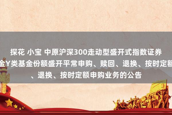 探花 小宝 中原沪深300走动型盛开式指数证券投资基金连结基金Y类基金份额盛开平常申购、赎回、退换、按时定额申购业务的公告