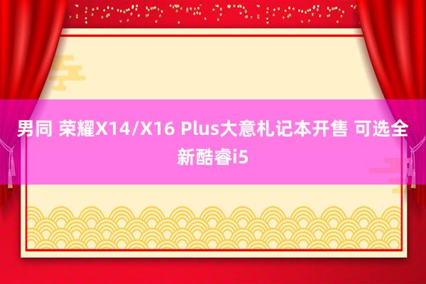 男同 荣耀X14/X16 Plus大意札记本开售 可选全新酷睿i5