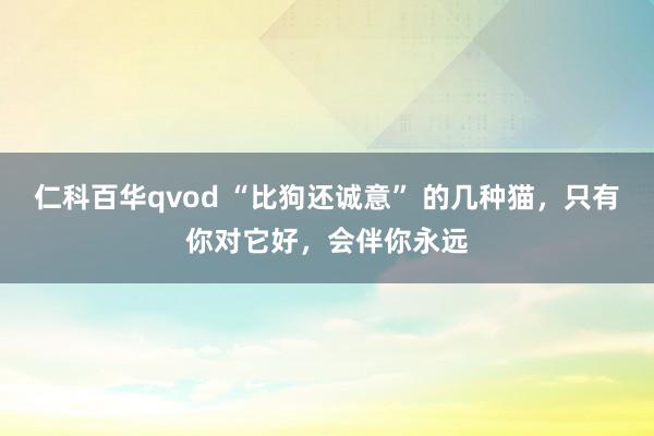 仁科百华qvod “比狗还诚意” 的几种猫，只有你对它好，会伴你永远