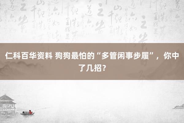 仁科百华资料 狗狗最怕的“多管闲事步履”，你中了几招？