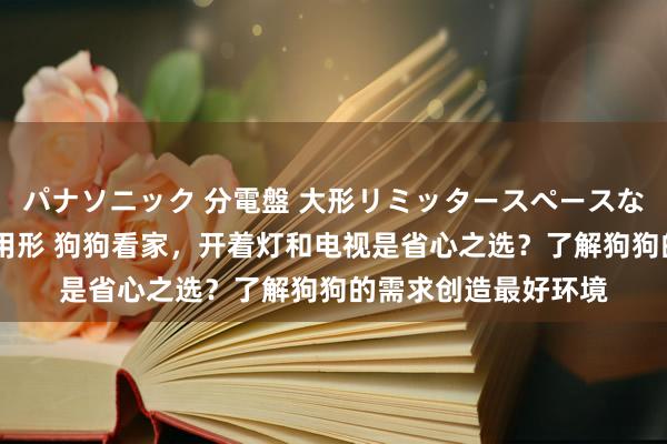 パナソニック 分電盤 大形リミッタースペースなし 露出・半埋込両用形 狗狗看家，开着灯和电视是省心之选？了解狗狗的需求创造最好环境