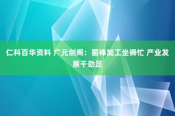 仁科百华资料 广元剑阁：菌棒加工坐褥忙 产业发展干劲足