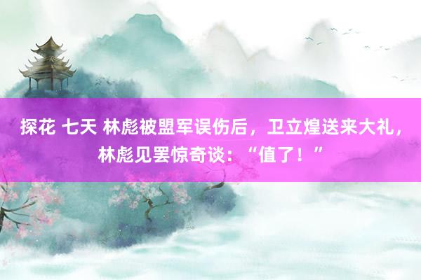 探花 七天 林彪被盟军误伤后，卫立煌送来大礼，林彪见罢惊奇谈：“值了！”