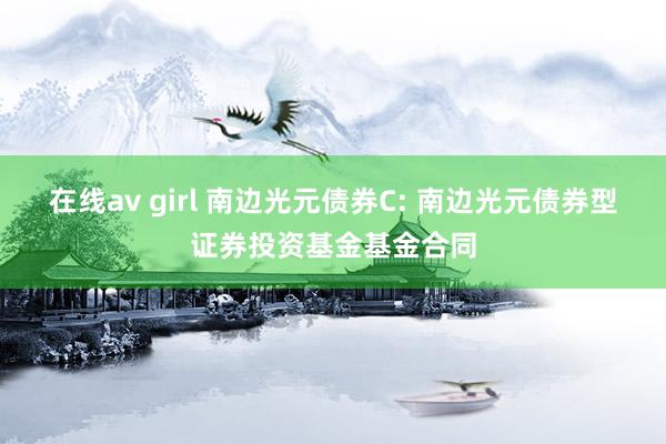 在线av girl 南边光元债券C: 南边光元债券型证券投资基金基金合同