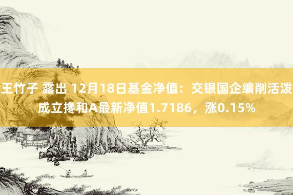 王竹子 露出 12月18日基金净值：交银国企编削活泼成立搀和A最新净值1.7186，涨0.15%