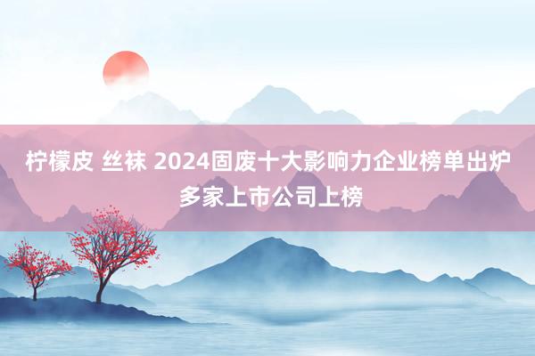 柠檬皮 丝袜 2024固废十大影响力企业榜单出炉 多家上市公司上榜