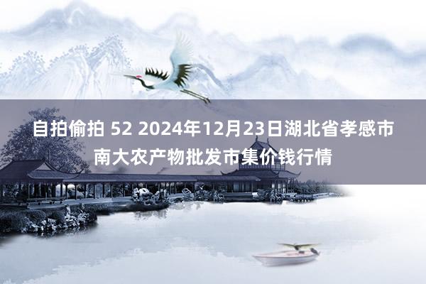 自拍偷拍 52 2024年12月23日湖北省孝感市南大农产物批发市集价钱行情