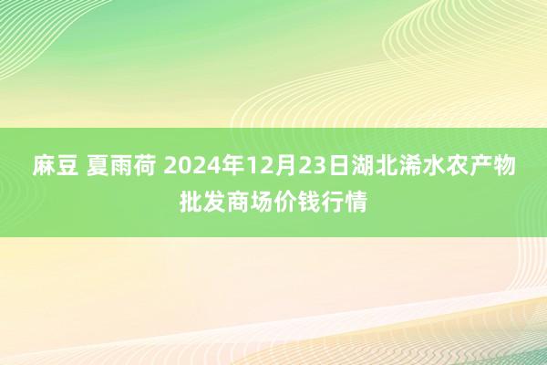 麻豆 夏雨荷 2024年12月23日湖北浠水农产物批发商场价钱行情