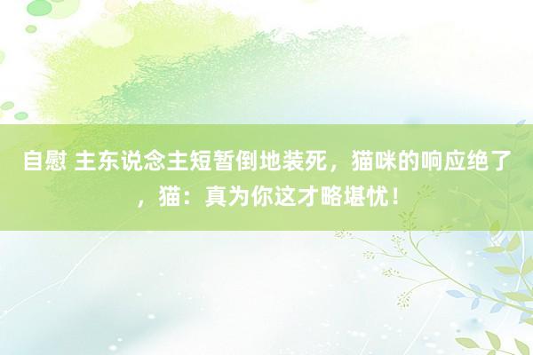 自慰 主东说念主短暂倒地装死，猫咪的响应绝了，猫：真为你这才略堪忧！