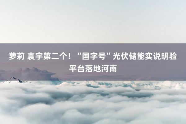 萝莉 寰宇第二个！“国字号”光伏储能实说明验平台落地河南