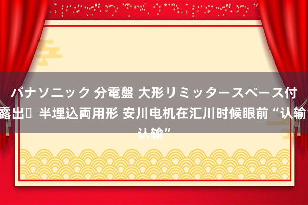 パナソニック 分電盤 大形リミッタースペース付 露出・半埋込両用形 安川电机在汇川时候眼前“认输”