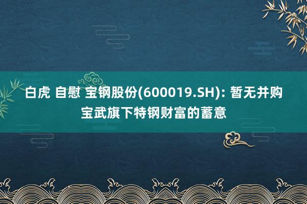 白虎 自慰 宝钢股份(600019.SH): 暂无并购宝武旗下特钢财富的蓄意