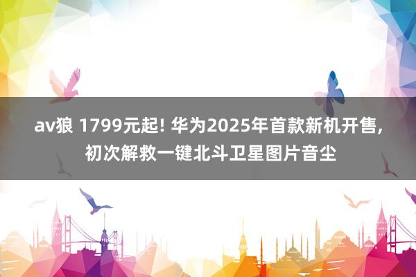 av狼 1799元起! 华为2025年首款新机开售， 初次解救一键北斗卫星图片音尘