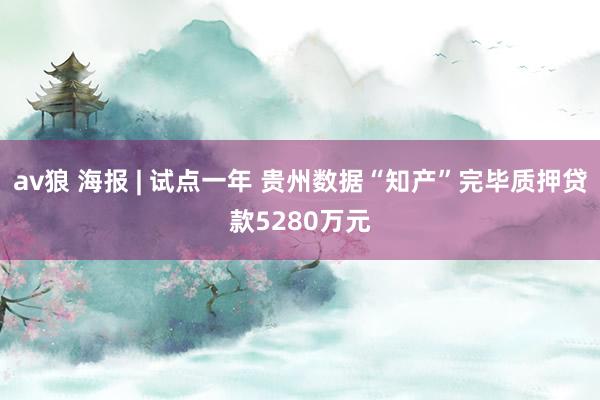 av狼 海报 | 试点一年 贵州数据“知产”完毕质押贷款5280万元