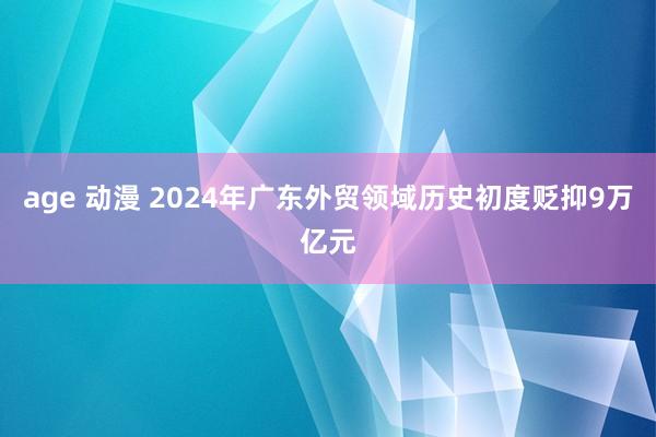 age 动漫 2024年广东外贸领域历史初度贬抑9万亿元